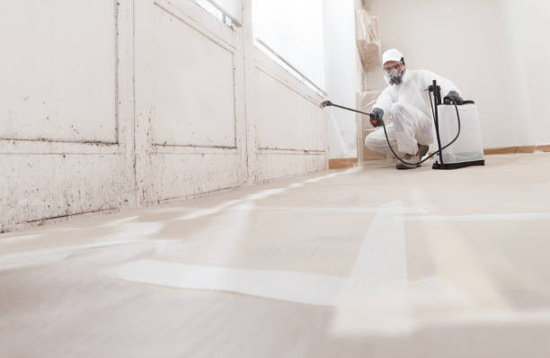 24/7 Emergency Mold Removal experts in Williamsburg, PA